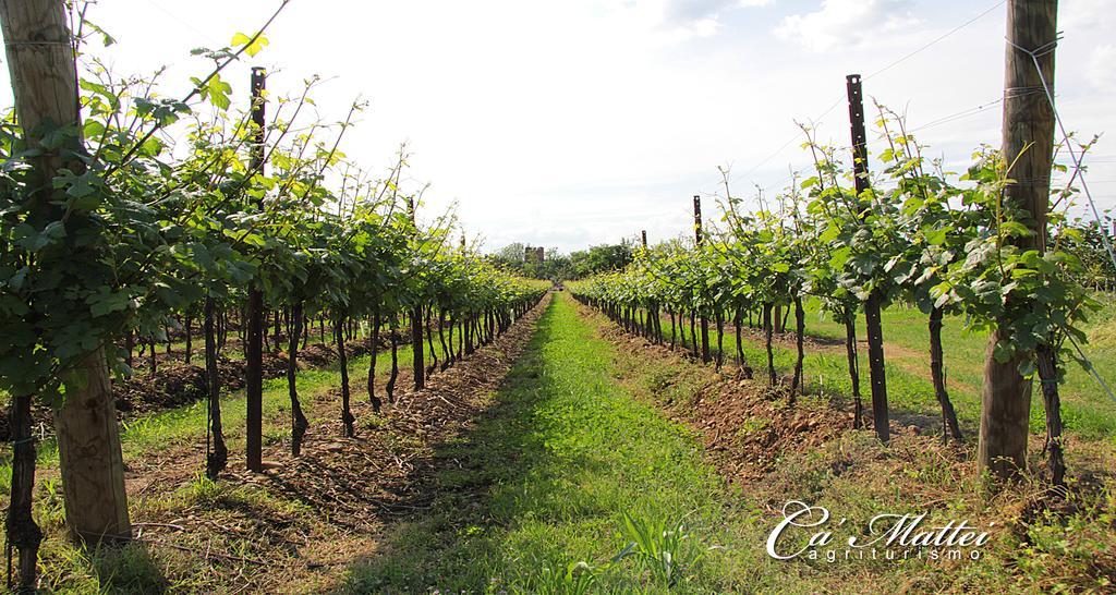 Agriturismo Ca'Mattei Pescantina Exterior photo